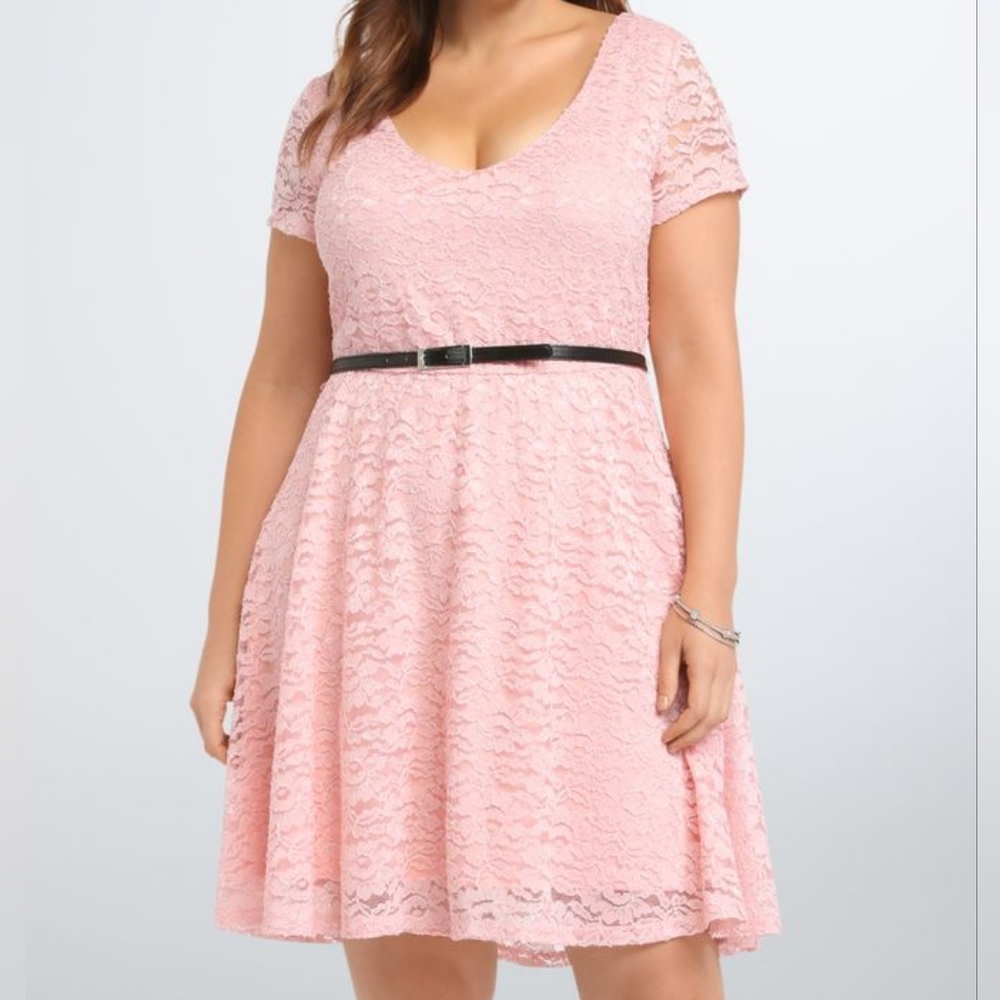 SOLD Pink Blush Sparkle Shimmer Lace Skater V-Neck Dress Plus Size 4XL 26W